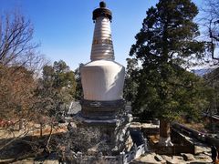 -大觉寺-停车场
