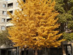 -辽宁大学(崇山校区)