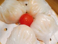 -新兴·金羊座·粤菜点心(乐峰店)