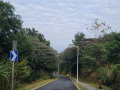 -黄埔油麻山森林公园