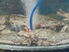 -鑫渔港海鲜本地菜·山海关浑锅(东戴河店)
