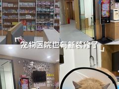 -艾贝尔宠物医院·24H转诊中心·肿瘤猫专科(江宁双龙店)