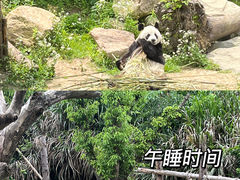 -宁波野生动物园