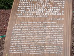 -黄帝陵