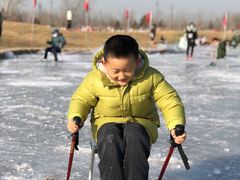 -绿野森林乐园冰雪季