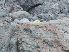 -八大关景区