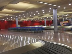 -西沃古尔·拉姆古兰爵士国际机场