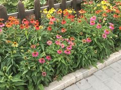 -丰台花园