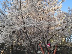 -杨高南路(地铁站)