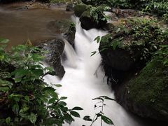 -莫里热带雨林景区