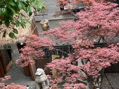-苏州本色美术馆