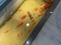 -邵汇大虾火锅(鲁迅路店)