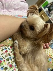 -悦色美甲美睫·精品