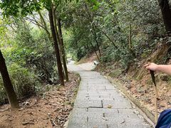 -火炉山森林公园