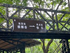 -海南槟榔谷黎苗文化旅游区