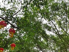 -海南热带野生动植物园