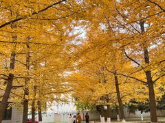 -辽宁大学(崇山校区)
