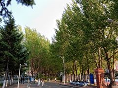 -东北师范大学(净月大街校区)