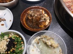 -小饕荟雅安贡椒鱼鲜馆(广福桥店)
