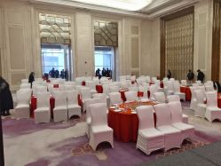 -武汉汉口喜来登大酒店·宴会厅