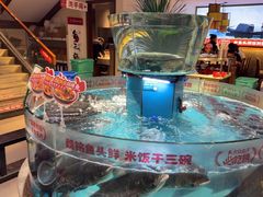 -魏铭鱼头捞饭(晋阳路店)