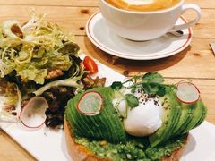 -Elephant Grounds(STARSTREET)