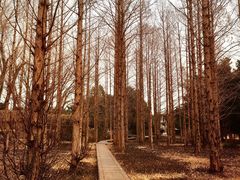 -国家植物园南园