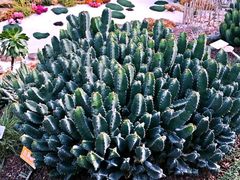 -南通洲际绿博园