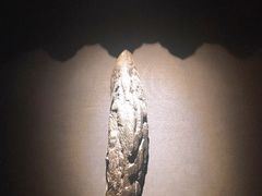 -石葵(锦业时代店)