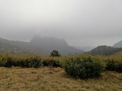 -秦岭风景区