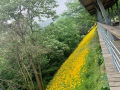 -西湖风景区-江洋畈生态公园