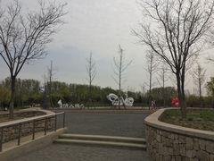 -东郊湿地公园