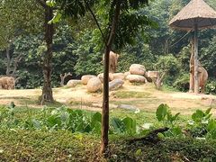 -广州长隆野生动物世界