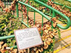 景点-信号山公园