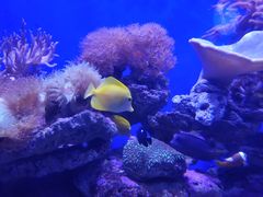 -青岛海底世界-水族馆