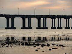 -宝安西湾红树林湿地公园