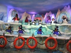 -帝企鹅自助餐厅•儿童岛•真企鹅(长隆企鹅酒店)