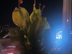 -不二·民谣音乐餐吧(长沙店)