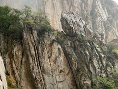 -禅宗少林·音乐大典