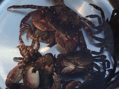 -鼎香缘海鲜自助火锅烤肉(锦辉购物广场店)