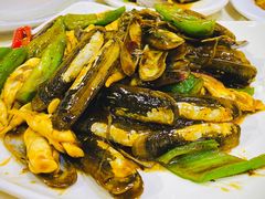 姜葱炒圣子-老字号蛇口德记烧腊饭店·海鲜加工
