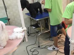 -贝妮宠物医院