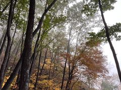 -吉林拉法山