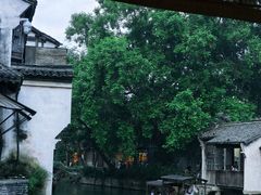 -乌镇西栅景区