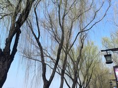 -西安汉城湖景区