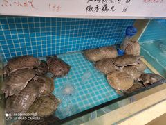 -元银甲·湖北地标美食(汉阳店)