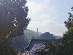 -天台山赤城山景区