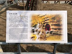 -北京石刻艺术博物馆(五塔寺)