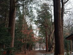 -北海道神宫