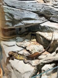 -Zoolung Zoolung动物主题公园(海信广场店)